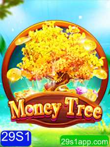 Explorando o Fascinante Mundo de MoneyTree: Inovação e Estratégia